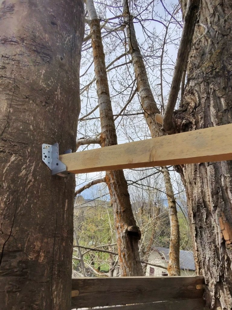 Galvanized steel bracket fixed to a tree trunk holding the end of a timber joist