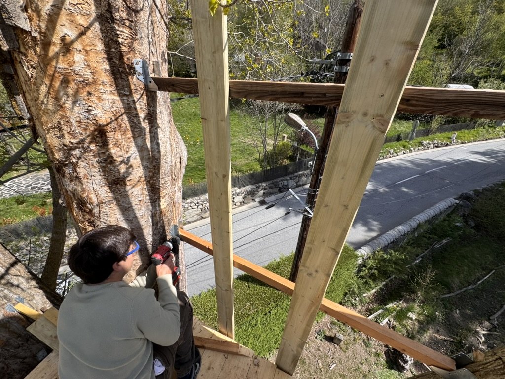 Person in a grey sweatshirt drilling timber against the trunk beside steel brackets and joists