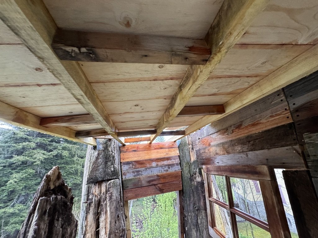 Underside of an upper timber floor with joists and plywood